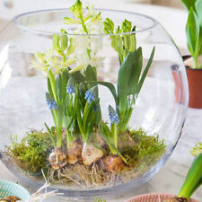 Glass handmade Large fish bowl