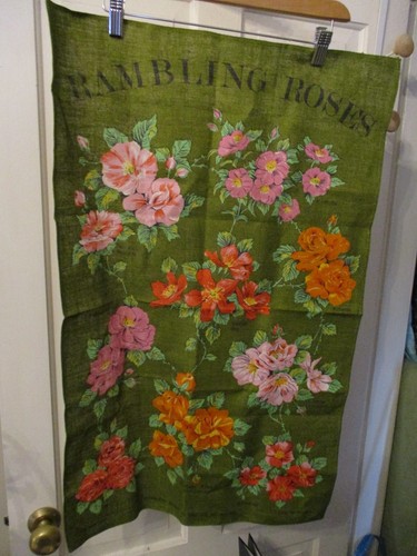 Rambling roses ulster pure - rambling, by