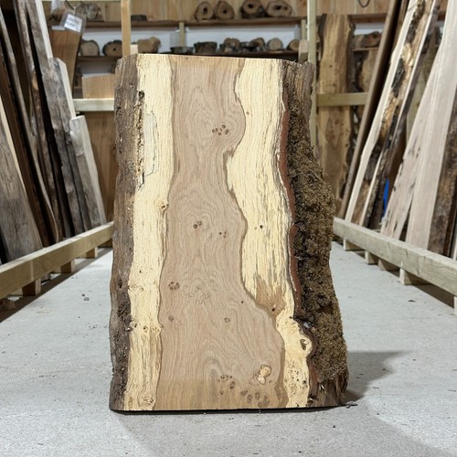 Pippy oak chopping board blank - pippy,