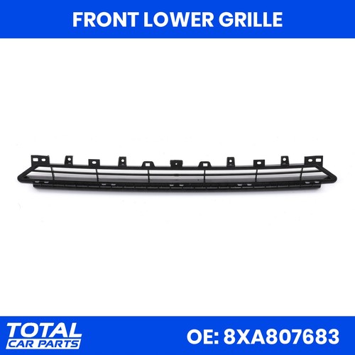 Front lower grille black - lower,