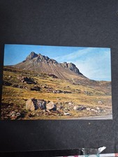 Vintage Postcard Stac Polly