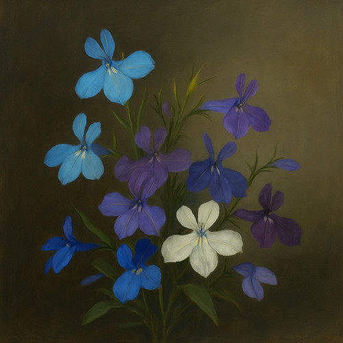 Lobelia regatta mixed seeds - mixed,