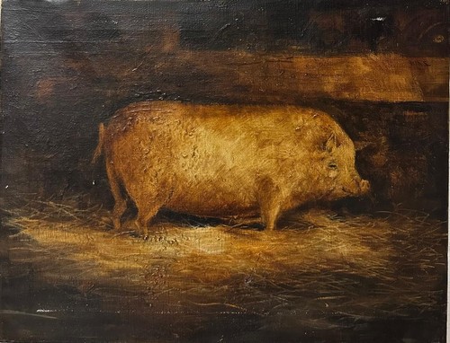Antique british school pig - british,