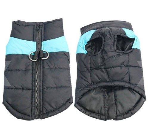 Waterproof winter dog - dog, coat