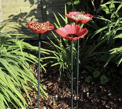 Bird feeders kingfisher - 8, x