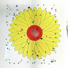 Fly stickers window - fly,