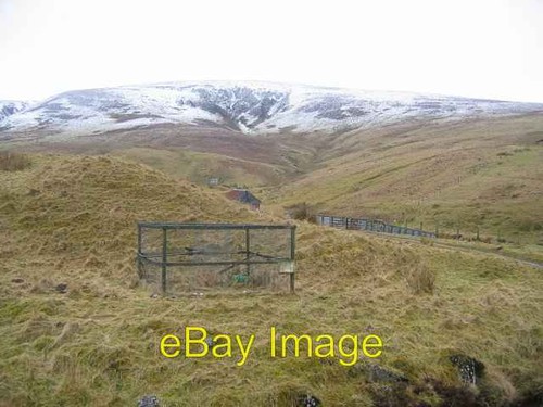 Photo 6x4 larsen trap bank - photo, trap.