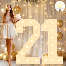 Large 4FT Light Up Numbers