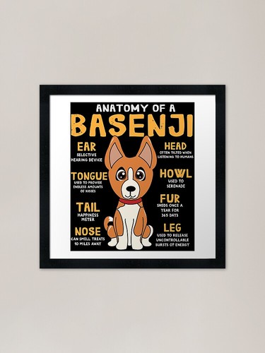 Anatomy basenji dog framed - anatomy,