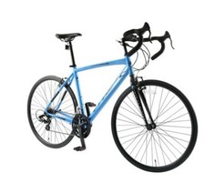 adult bicycle