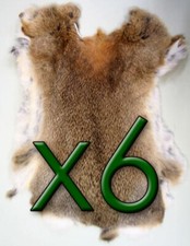 6 x Natural Rabbit Skins
