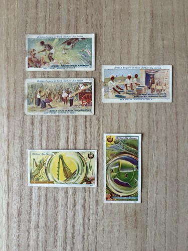 Typhoo tea cards - typhoo,