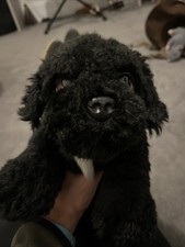 Signature Cuddle Puppies Cockapoo Plush Soft Black Cuddly Toy Dog