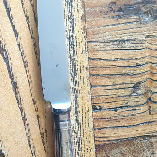 Stainless steel knife - r, &