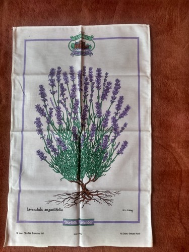 Norfolk lavender vintage - lavender,