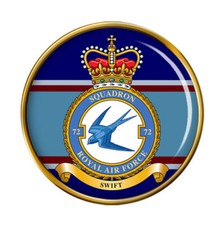 72 Squadron, RAF Pin Badge