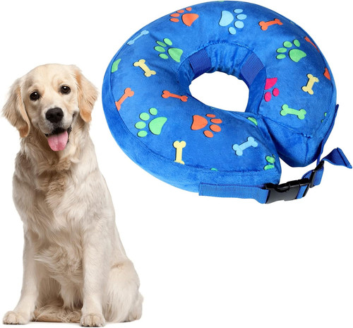 Inflatable dog collars - dog, for