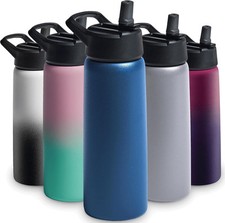 Gym Hydration Fitness Sports Triple Vacuum Insulated Bottle 750ml Majestic Blue