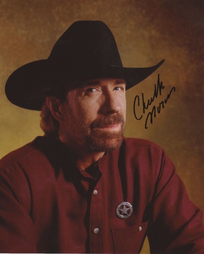 Chuck norris action movie - chuck,