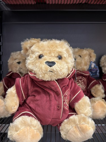 The polar express bear - ,