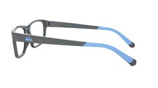 Quicksilver 13 Limited Eyewear Blue Acetate Frame Eyewear