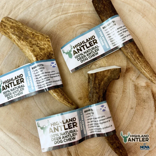 Antos small deer dog chew - chew, bar
