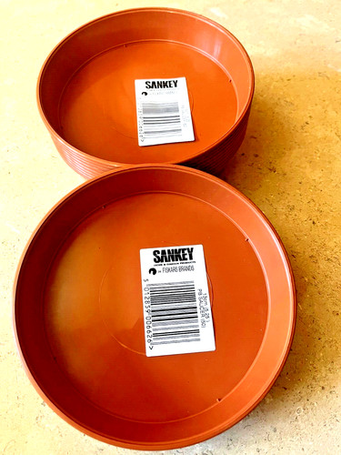 Plastic plant saucers - plant,