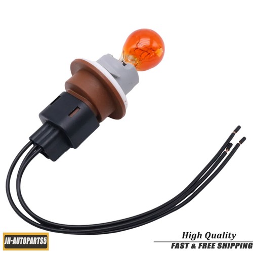 Park and turn signal light - park,