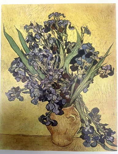Van gogh original vintage - van,