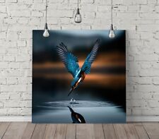 COOL KINGFISHER BIRD -SQUARE