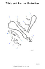 Jaguar Genuine Primary Timing