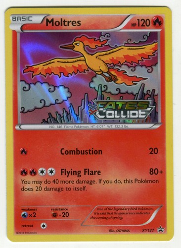 Pokémon tcg moltres holo - tcg, xy