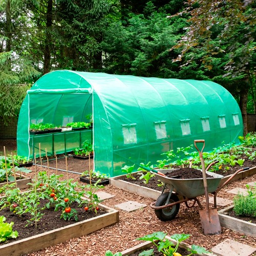 Polytunnel greenhouse poly - greenhouse,