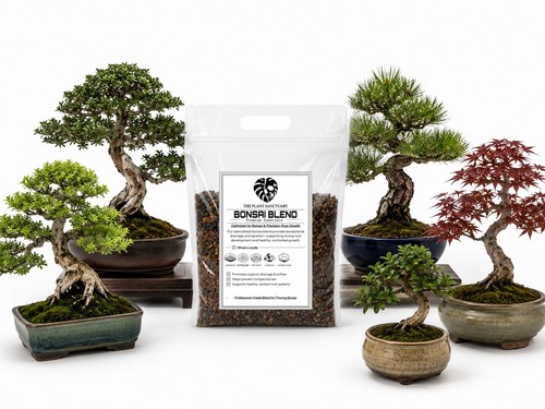 10l premium bonsai potting - premium,