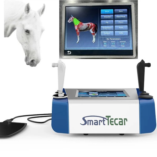 Equine tecar therapy horse - tecar,