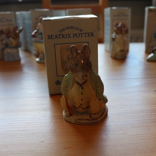 Samuel whiskers royal - samuel,