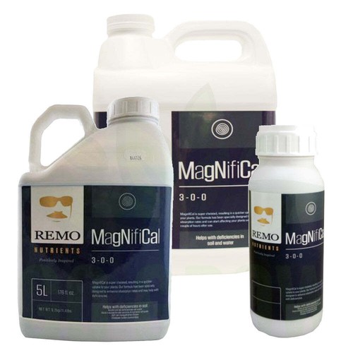 Remo magnifical - magnifical, *