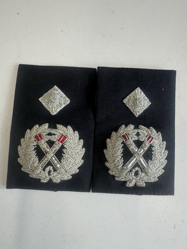 Deputy chief constable police - constable,