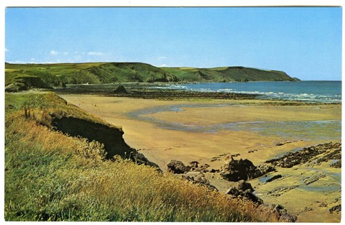 1980s camel cards postcard - camel,