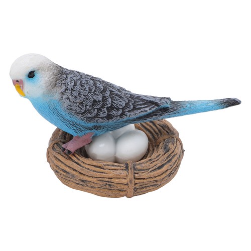 Budgerigar growth cycle toy - budgerigar,