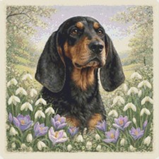Black and tan - and, puppy