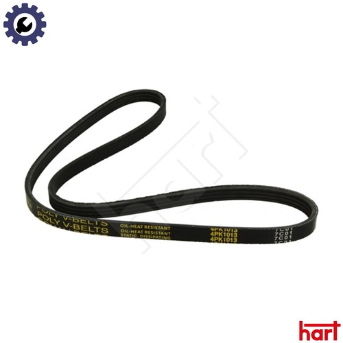 Vribbed belt 334 276 - belt,