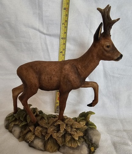 Teviotdale wildlife baby - wildlife, stag