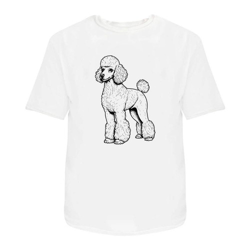Standard poodle unisex - poodle',