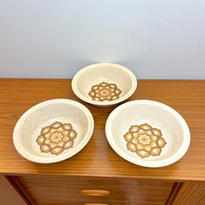 2 x Royal Worcester Palissy Kalabar 23 cm  Salad Bowls