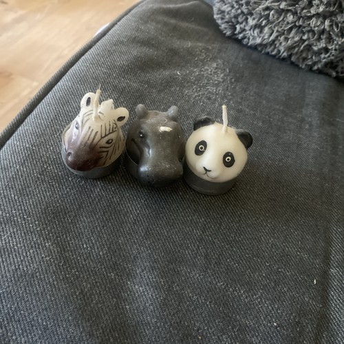 Trio adorable animal - trio,