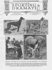 HARE COURSING The Waterloo Cup