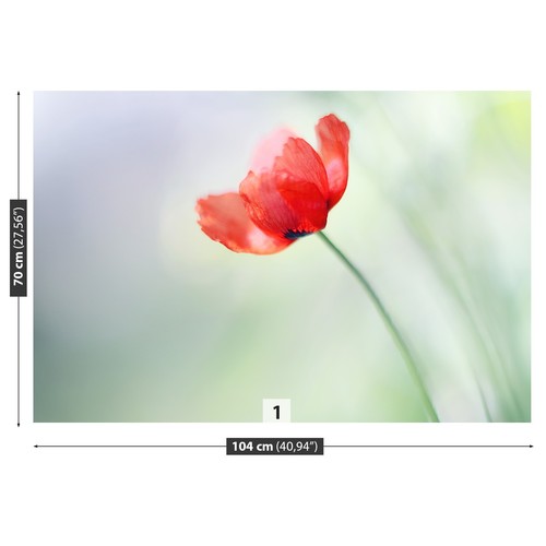 Non woven wall mural photo - woven,