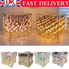 DIY Tulip Mirror LED Night