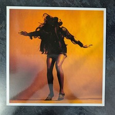 The Last Shadow Puppets -